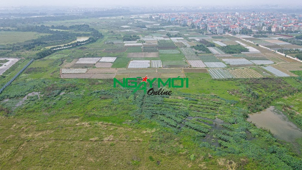 Tổ hợp Y tế TH Medical được người cao tuổi mong chờ đang là được thực hiện như thế nào?