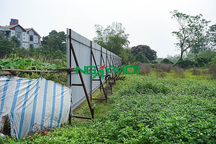 Tổ hợp Y tế TH Medical được người cao tuổi mong chờ đang là được thực hiện như thế nào?