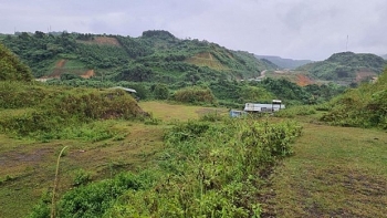 Lào Cai thu hồi toàn bộ diện tích đất đã cấp cho công ty Lilama
