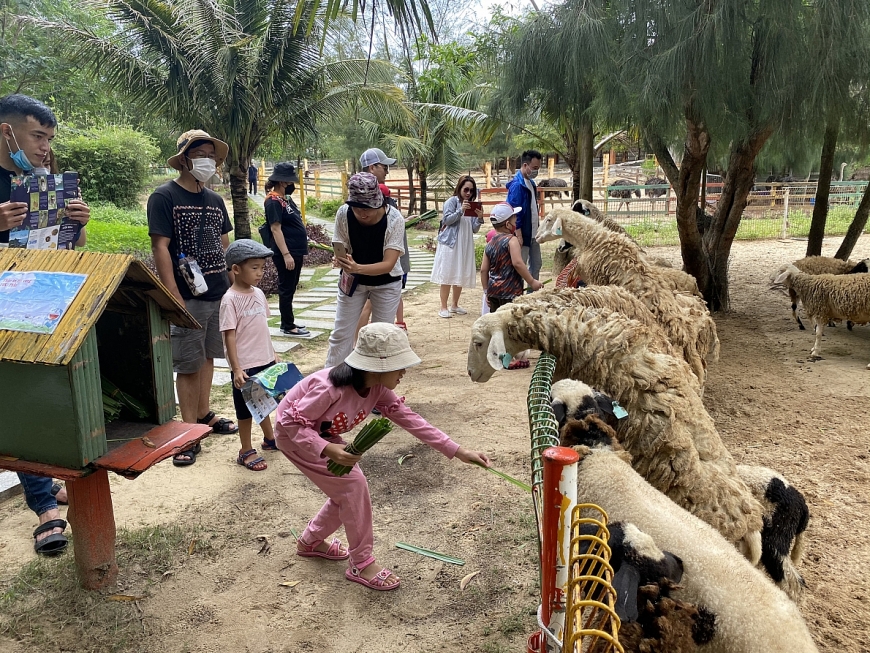 Công viên động vật bán hoang dã FLC Zoo Safari Park thuộc khuôn viên FLC Quy Nhơn đón khoảng 4.000 lượt khách tham quan trong kỳ nghỉ lễ. Ảnh: Sương Nguyễn