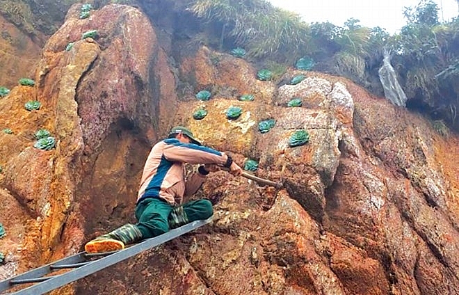 Những khoảnh khắc khó quên của 