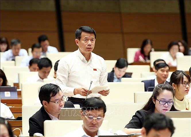 Đại biểu Quốc hội tỉnh Nam Định Nguyễn Hải Dũng phát biểu ý kiến. Ảnh: Phạm Kiên/TTXVN