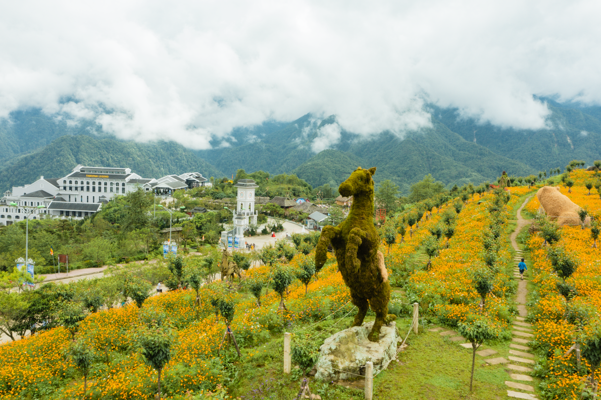 Hoa đồng loạt bung nở đưa du khách “bay” giữa mùa hoa đẹp nhất Sa Pa