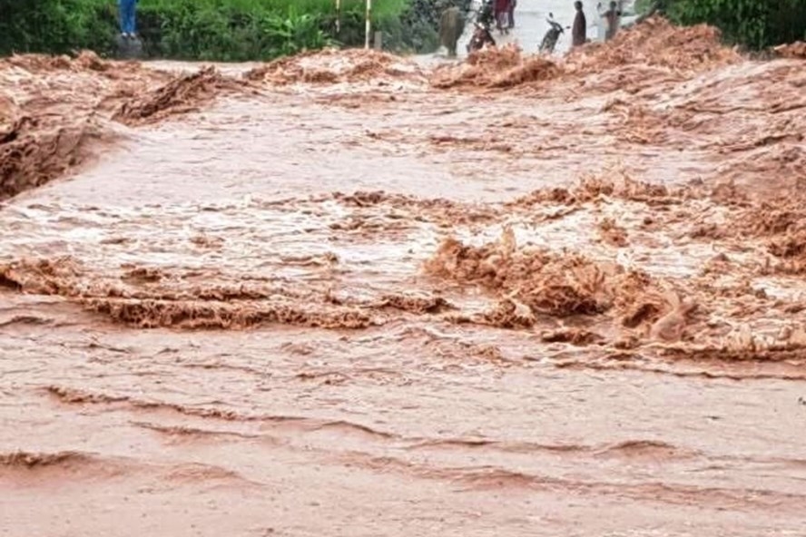 1135 lu lon tai ha giang