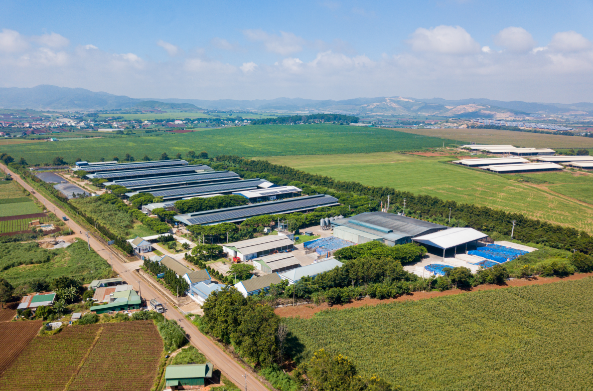 Hệ thống năng lượng mặt trời được lắp đặt giúp tiết kiệm điện năng hiệu quả