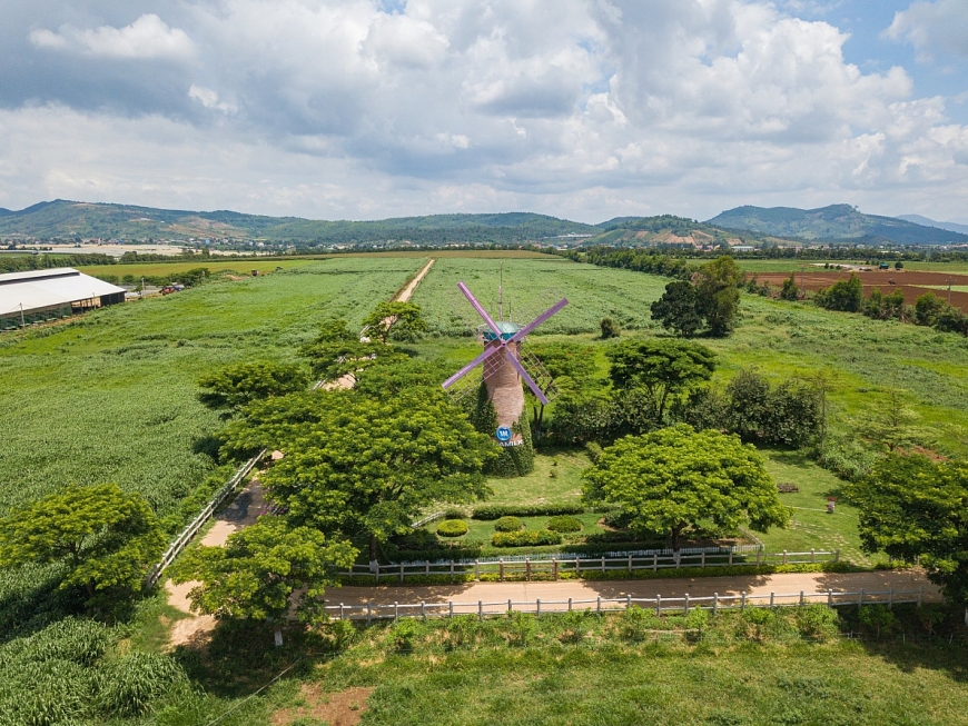 Không gian xanh mát, trong lành tại trang trại bò sữa Vinamilk Organic Đà Lạt 