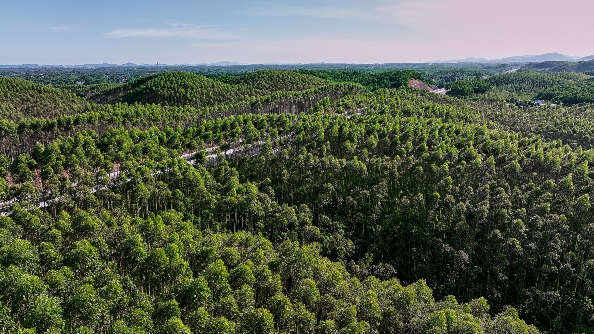 Khám phá tuyến cao tốc Vân Đồn - Móng Cái có hệ thống chiếu sáng hiện đại nhất Việt Nam