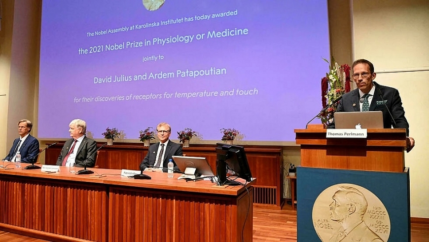 Quang cảnh lễ trao giải Nobel Y học năm 2021 ở Stockholm (Thụy Điển). Ảnh: nobelprize.org