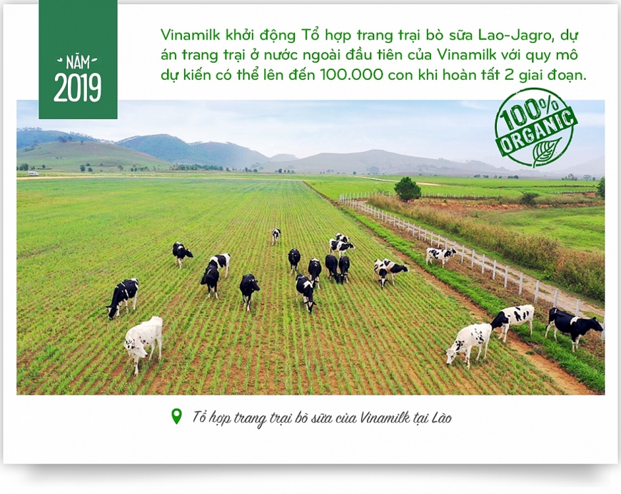 Vinamilk: 15 năm xây hệ thống trang trại bò sữa với “bộ sưu tập” tiêu chuẩn quốc tế