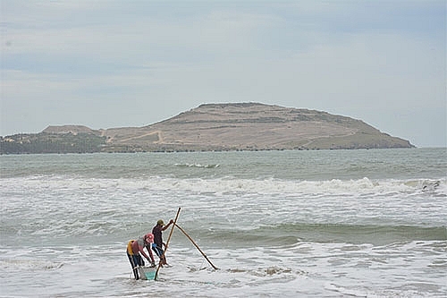 Đồi Hòn Rơm không còn cây xanh