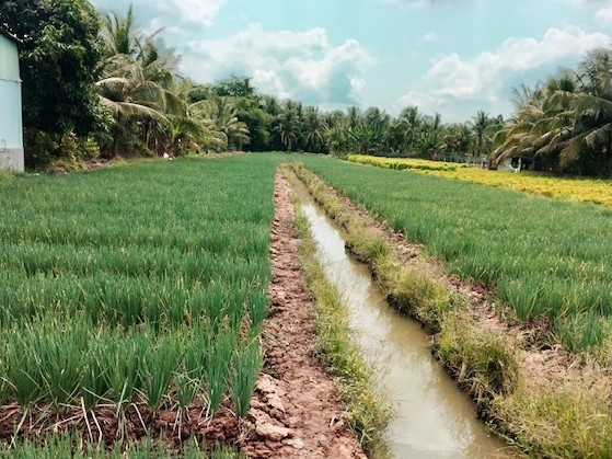 Phân bón Phú Mỹ ra mắt sản phẩm mới Đạm Phú Mỹ + KeBo