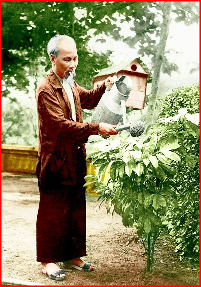 Tư tưởng Hồ Chí Minh về trồng cây để bảo vệ môi trường thiên nhiên xanh tươi