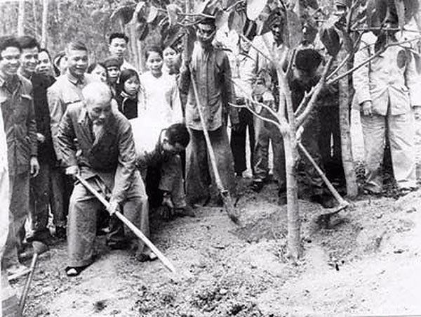 Tư tưởng Hồ Chí Minh về trồng cây để bảo vệ môi trường thiên nhiên xanh tươi