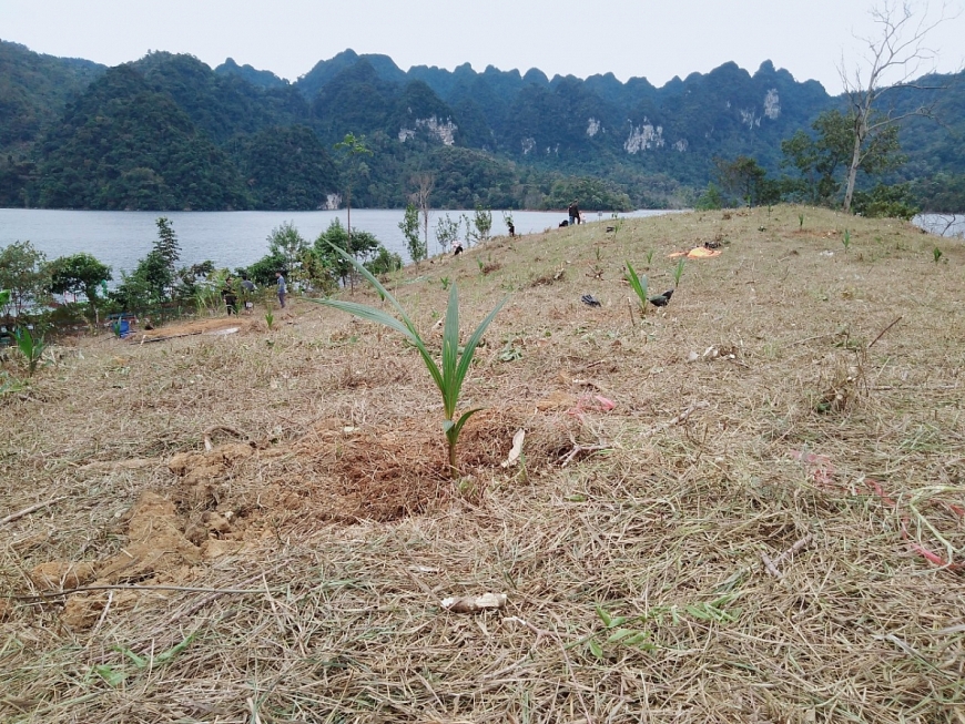 Top 10 Hoa khôi Du lịch Việt Nam ‘phủ xanh’ đất trồng hồ sinh thái Na Hang - Lâm Bình