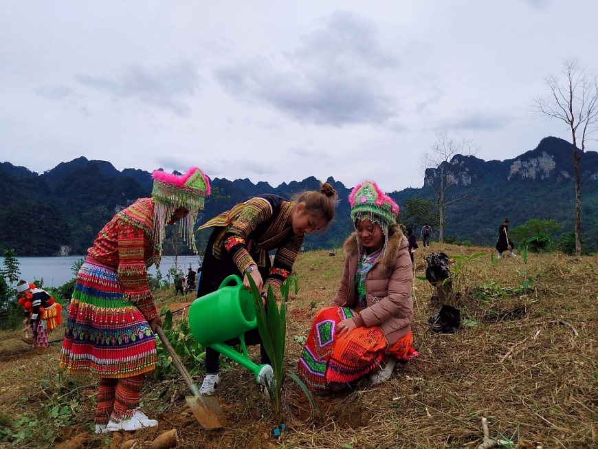Top 10 Hoa khôi Du lịch Việt Nam ‘phủ xanh’ đất trồng hồ sinh thái Na Hang - Lâm Bình