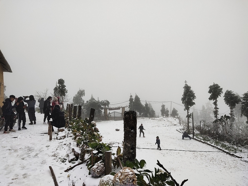 Sa Pa: Tuyết phủ trắng xóa trời, nhiều ô tô gặp nạn