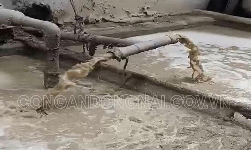 Công ty TNHH Giấy Tiến Nam xả nước thải phát sinh từ quá trình sản xuất giấy trái quy định vào môi trường qua hệ thống thoát nước mưa của khu công nghiệp.