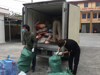Vận chuyển 2 tấn thịt lợn bốc mùi, chảy nước đi tiêu thụ