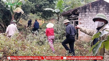 Huyện Hà Trung, tỉnh Thanh Hóa: Không có đường vào nghĩa trang, hàng trăm hộ dân kêu cứu