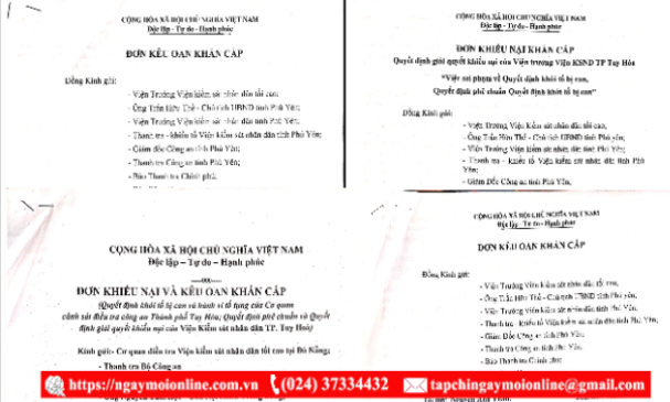 Cả 4 bị can đều khiếu nại kết luận giám định của Hội đồng giám định, Chi cục quản lý đất đai