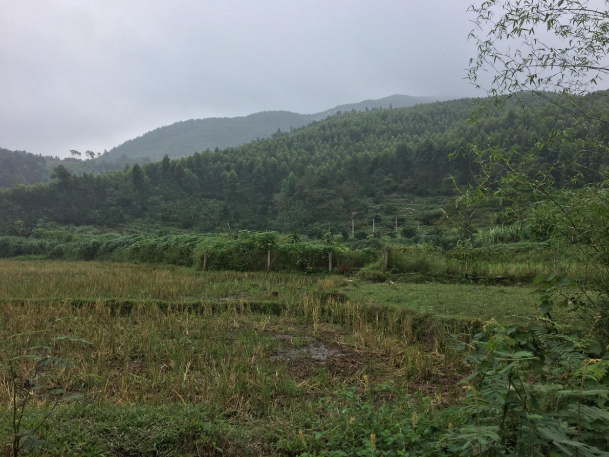 Cần xử lí nghiêm những sai phạm của ông Nguyễn Quang Cảnh