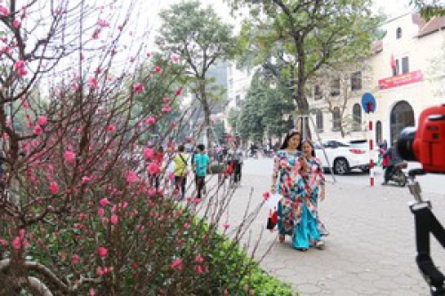 Hà Nội: Chỉnh trang đường phố đón năm mới và Tết Nguyên đán Canh Tý