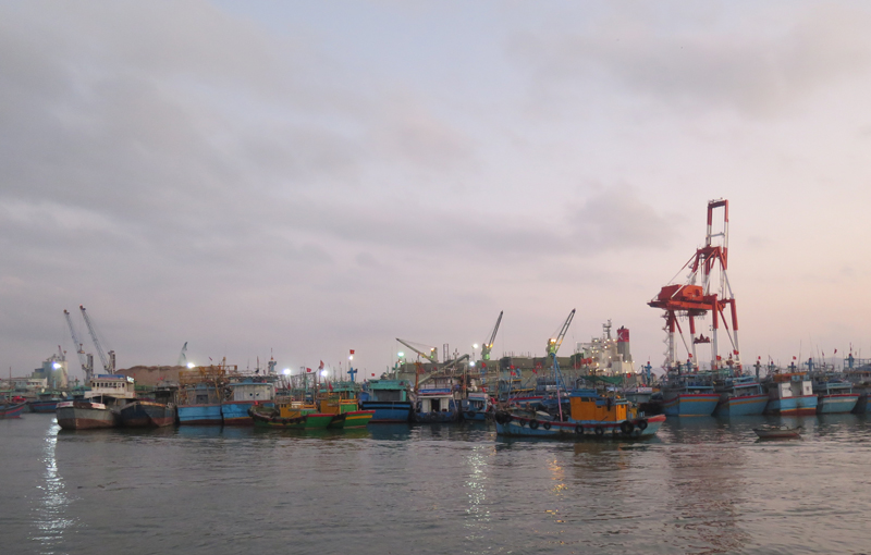 Cảng c&aacute; Quy Nhơn