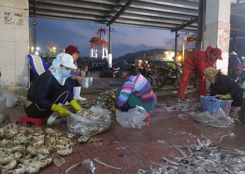 Ph&acirc;n loại hải sản