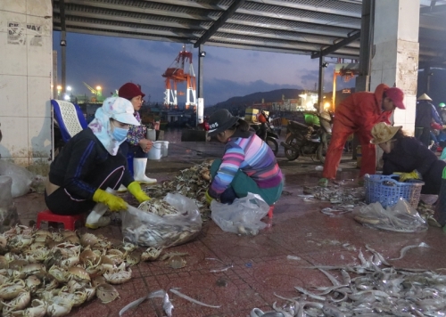 Cuối năm về Quy Nhơn