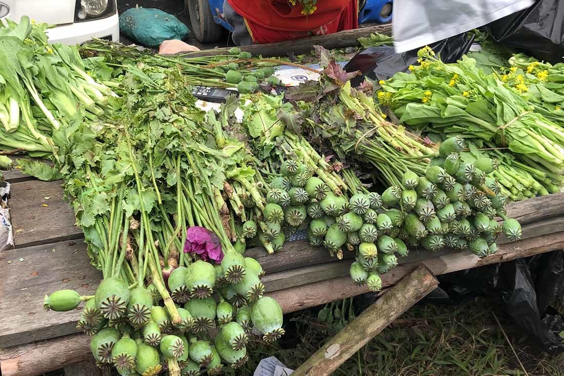 Cây thuốc phiện bán như rau ở chợ vùng biên Việt - Lào