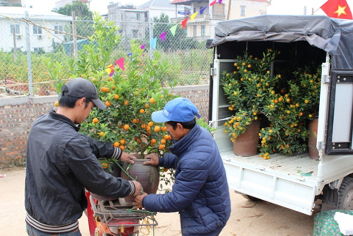 Những cuốc xe hoa ngày giáp Tết!