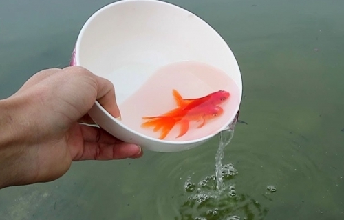 Thời tiết lễ ông Công ông Táo 2020 ra sao?