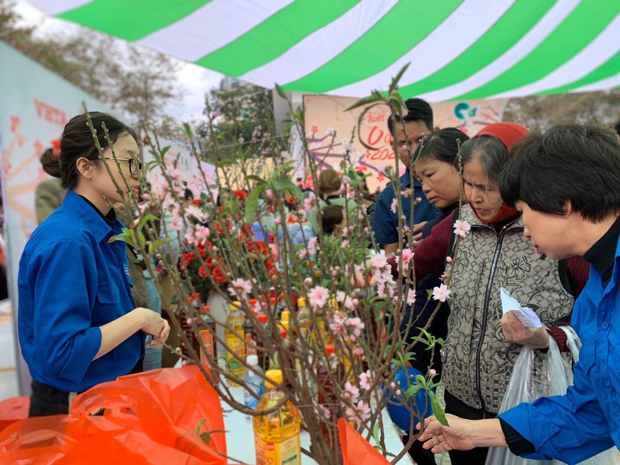 Những c&agrave;nh đ&agrave;o khoe sắc rực rỡ giữa phi&ecirc;n chợ 0 đồng đậm đ&agrave; t&igrave;nh người