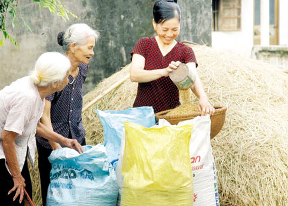 NCT tỉnh Vĩnh Long tiếp tục cống hiến kinh nghiệm, tr&iacute; tuệ cho gia đ&igrave;nh v&agrave; cộng đồng. Ảnh IT