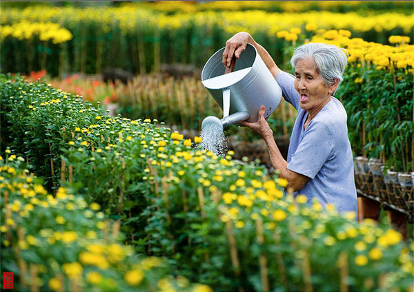 Làng hoa Tết Sa Đéc