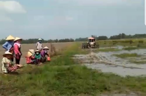 Bạc Liêu: Luật sư kiến nghị xem xét lại vụ án nhiều khuất tất