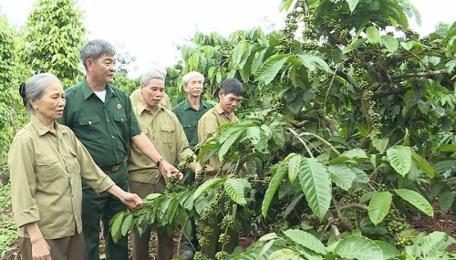 Đánh giặc giỏi, làm kinh tế cũng tài