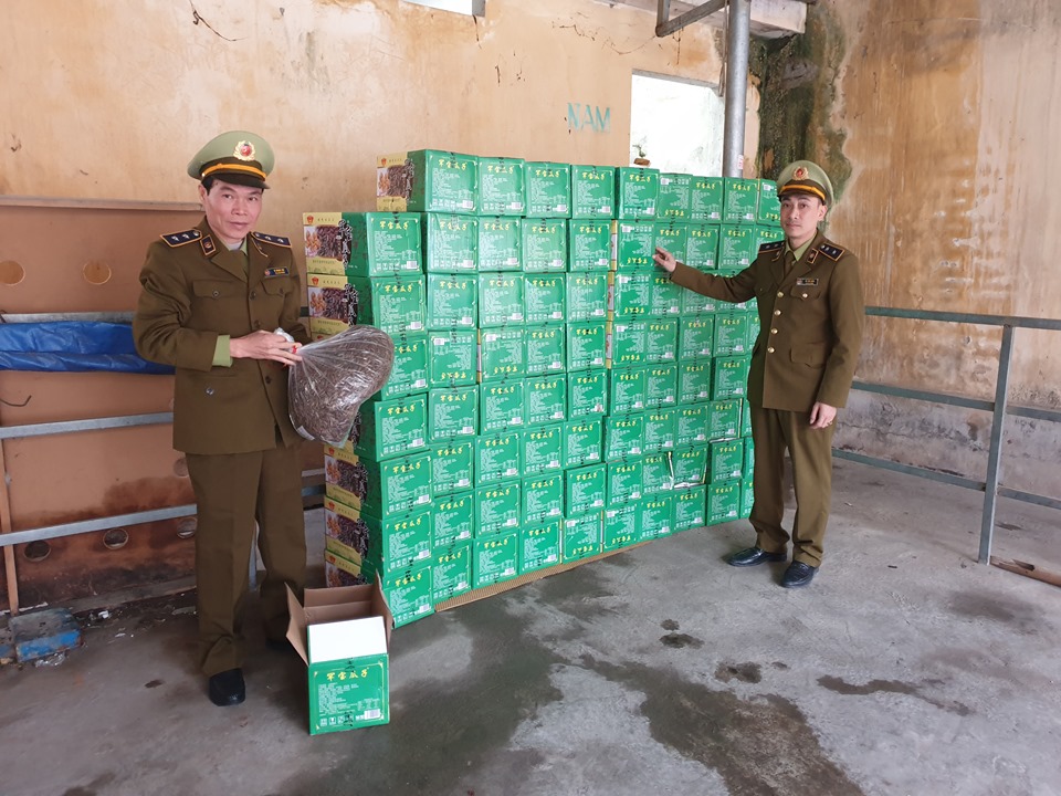 400kg hạt hướng dương nhập lậu bị thu giữ.