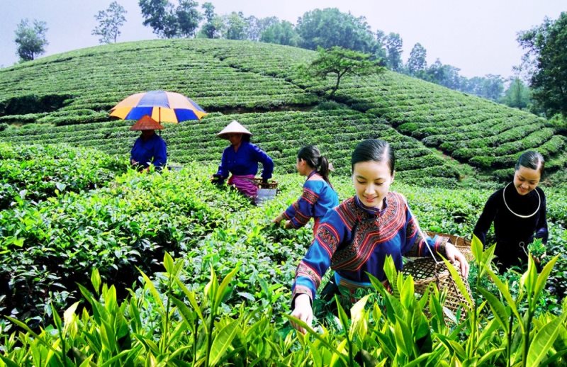 Sức sống mới nơi “Thủ đô gió ngàn”