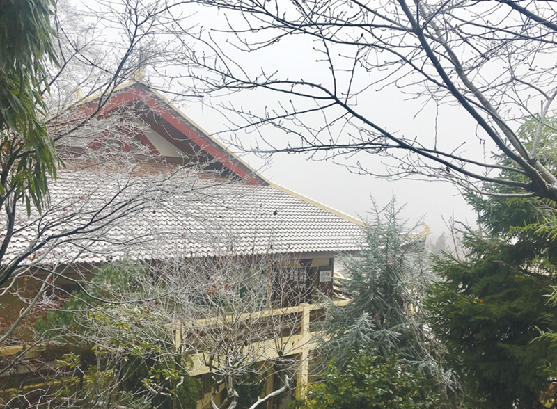 Tết với người già Việt trên đất Pháp