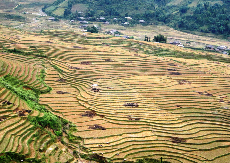 Đi trảy nước non Cao Bằng...