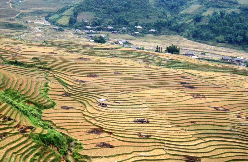 Phiêu du trên những cung đường