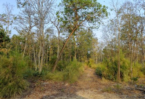 Đồn Biên phòng Sê Rê Pốk: Tuyên truyền phát khẩu trang y tế đến nhiều buôn vùng sâu của huyện Buôn Đôn