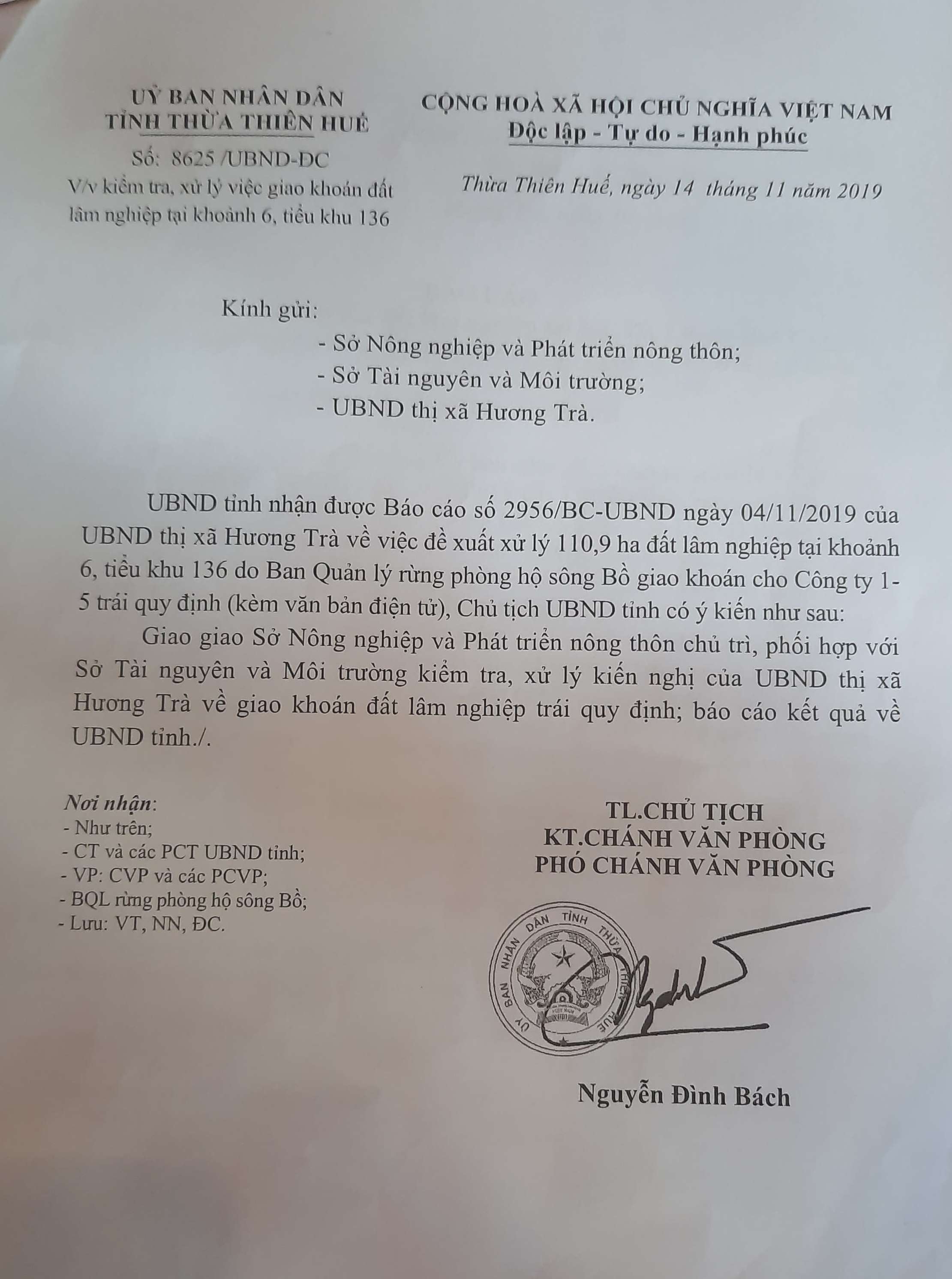 UBND tỉnh Thừa Thi&ecirc;n Huế y&ecirc;u cầu kiểm tra, xử l&yacute; việc giao kho&aacute;n 110,9 ha đất l&acirc;m nghiệp cho C&ocirc;ng ty 1-5.