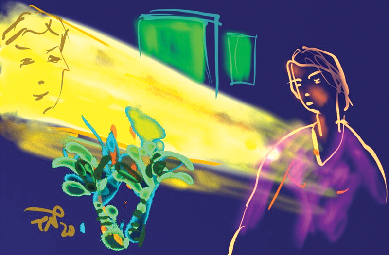 Minh họa Trần Nhương