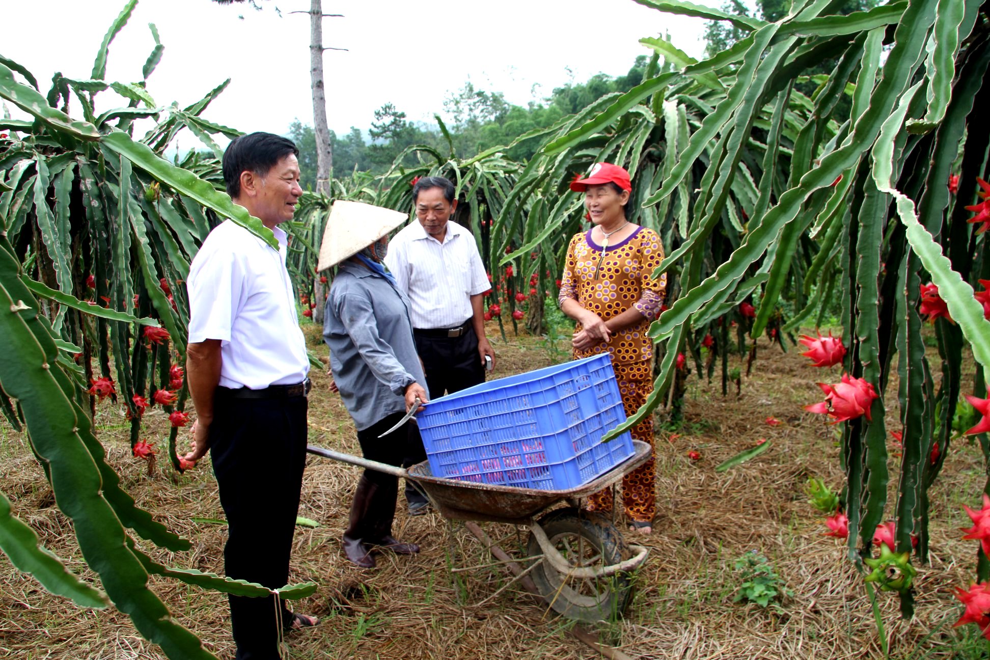 Xã Pa Thơm, huyện Điện Biên, tỉnh Điện Biên: NCT tham gia bảo vệ vùng biên an toàn, hữu nghị