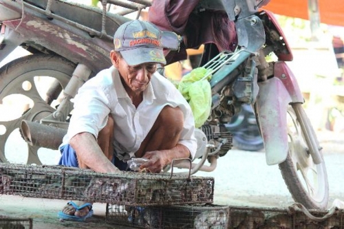 Độc đáo khu chợ chuột lớn nhất miền Tây