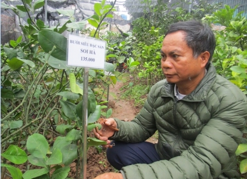 Ông chủ trại giống cây ăn quả