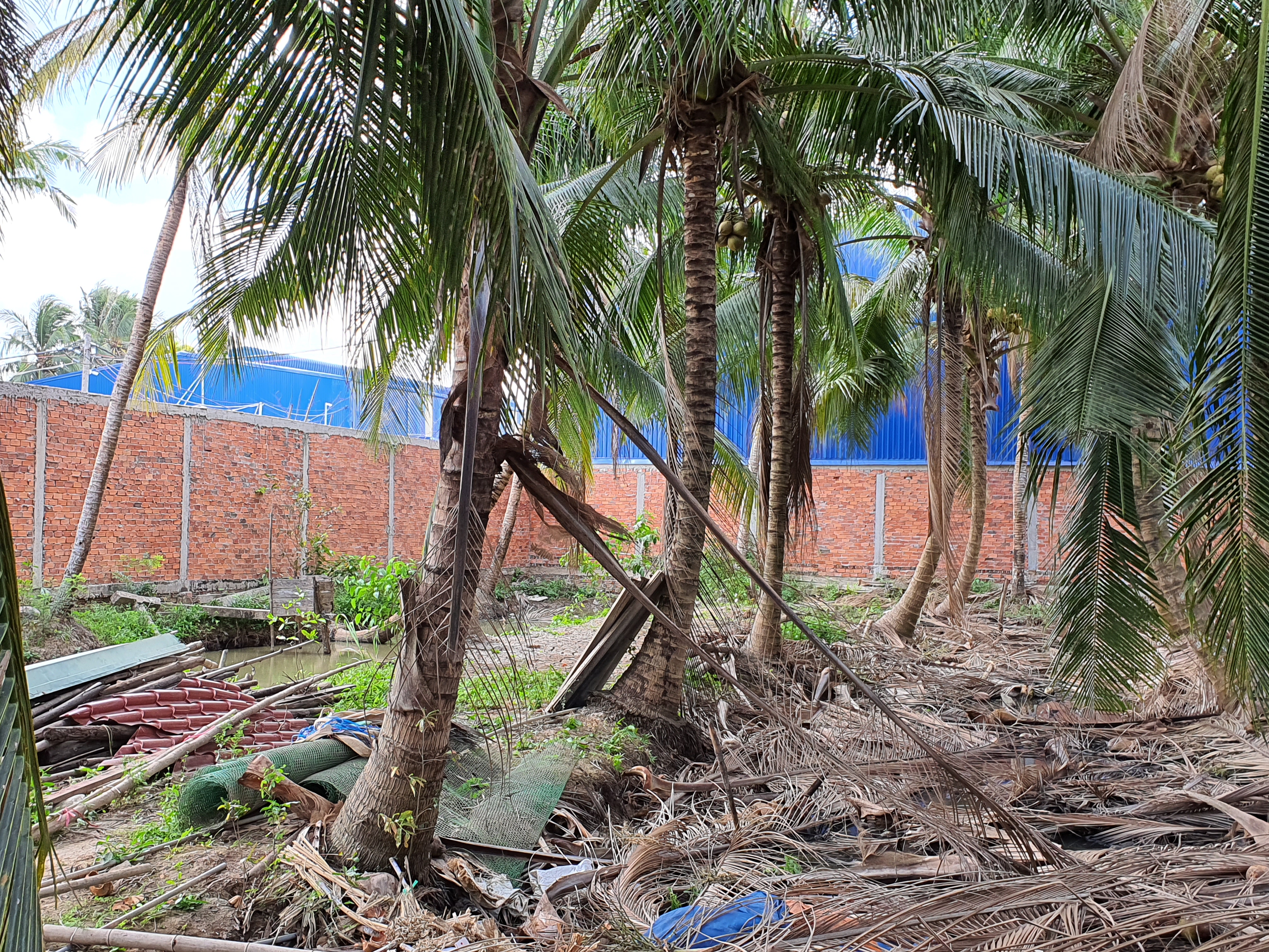 Huyện Mỏ Cày Nam, tỉnh Bến Tre: Ai đã dung túng, bao che việc lấp sông Cổ Chiên, xây hơn 10.000m2 kho xưởng trái pháp luật?