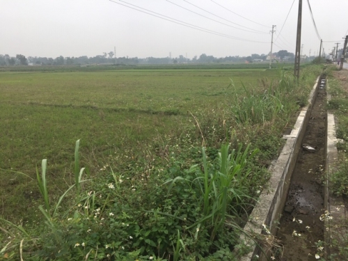 Xã Yên Phong (Thanh Hóa): Cố tình đấu thầu ngược... dẫn đến sai phạm gây thất thoát tiền ngân sách